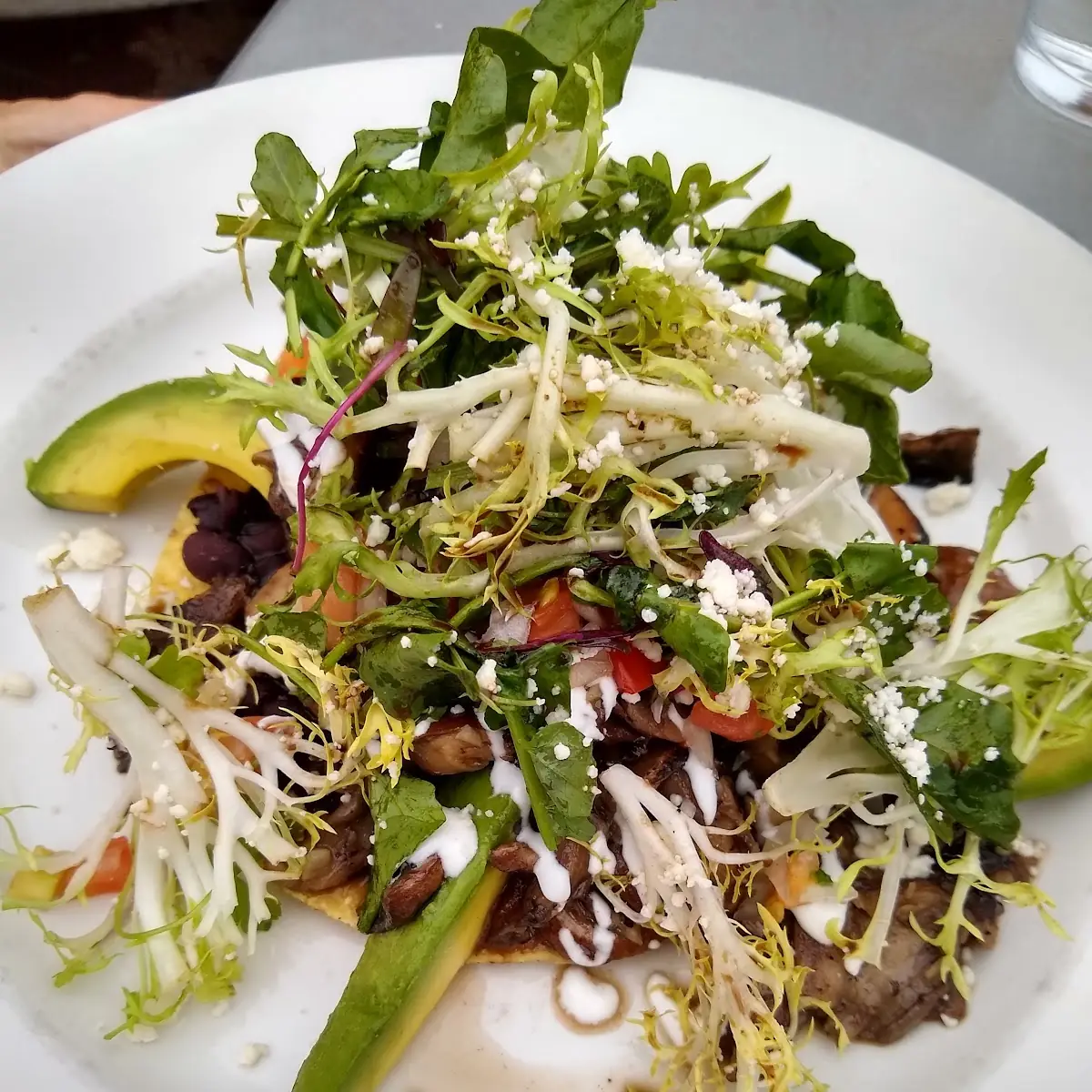 Wild Mushroom Tostada