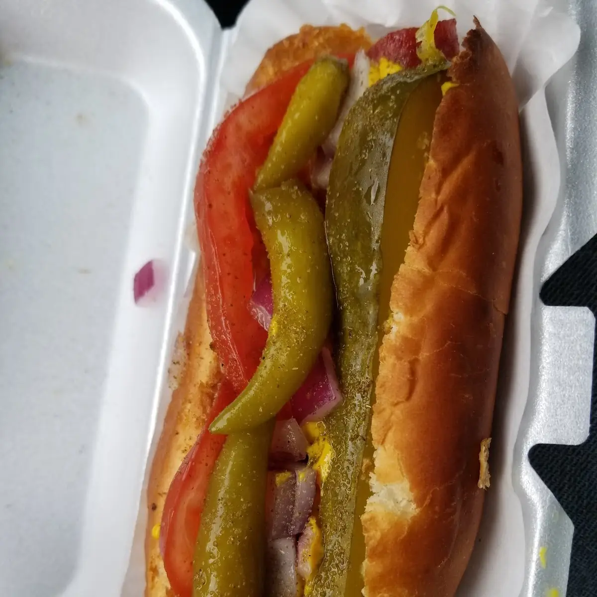 Chicago Dog