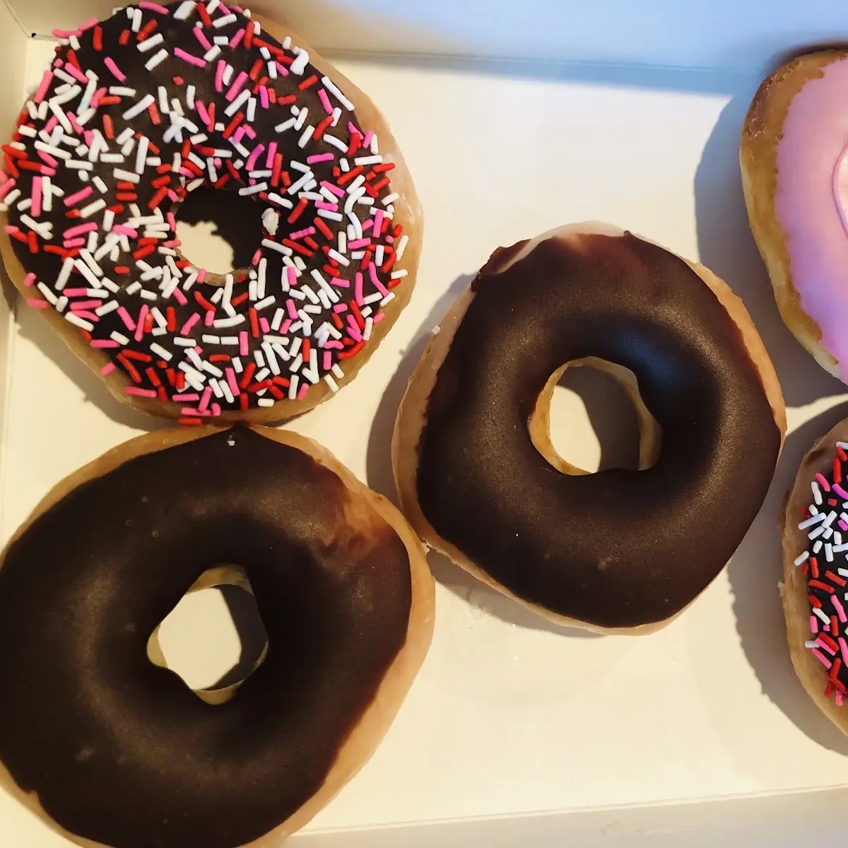 Doughnut