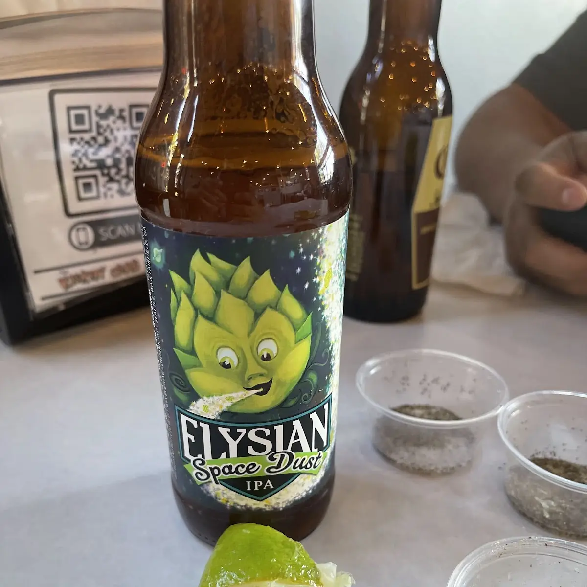 Elysian Space Dust IPA