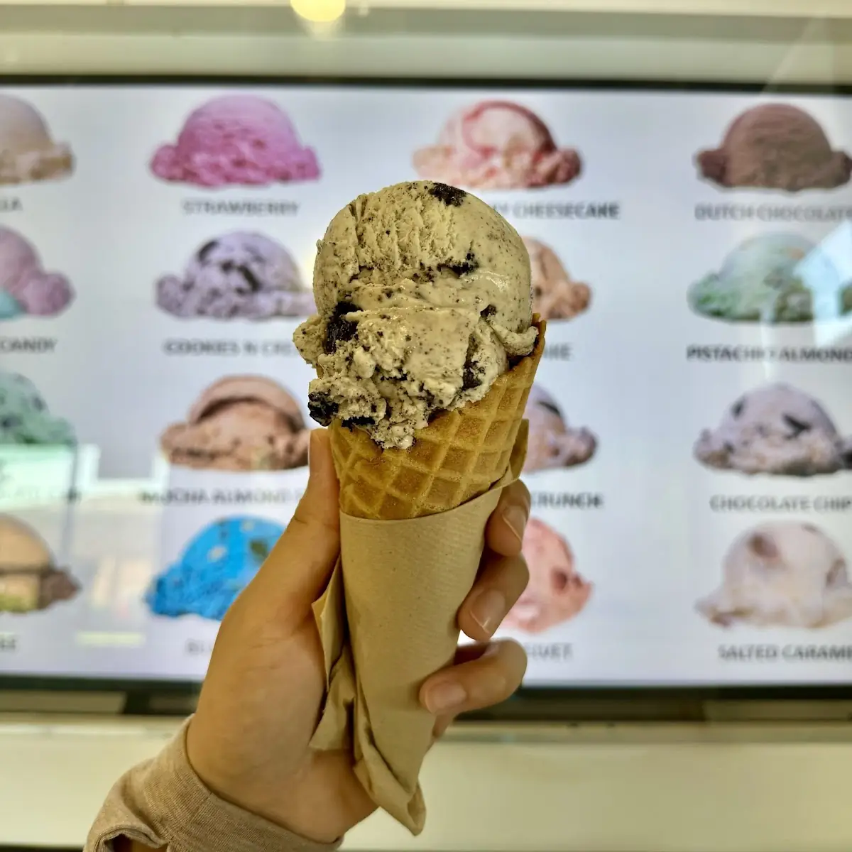 Chocolate Chip Cone