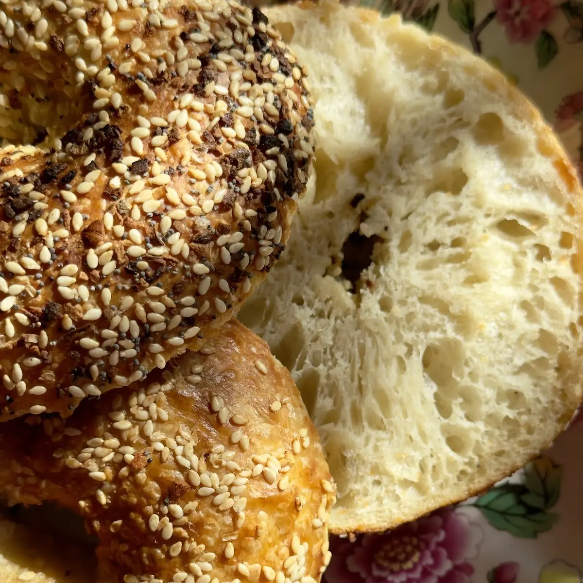 Everything Bagel and Sesame Bagel