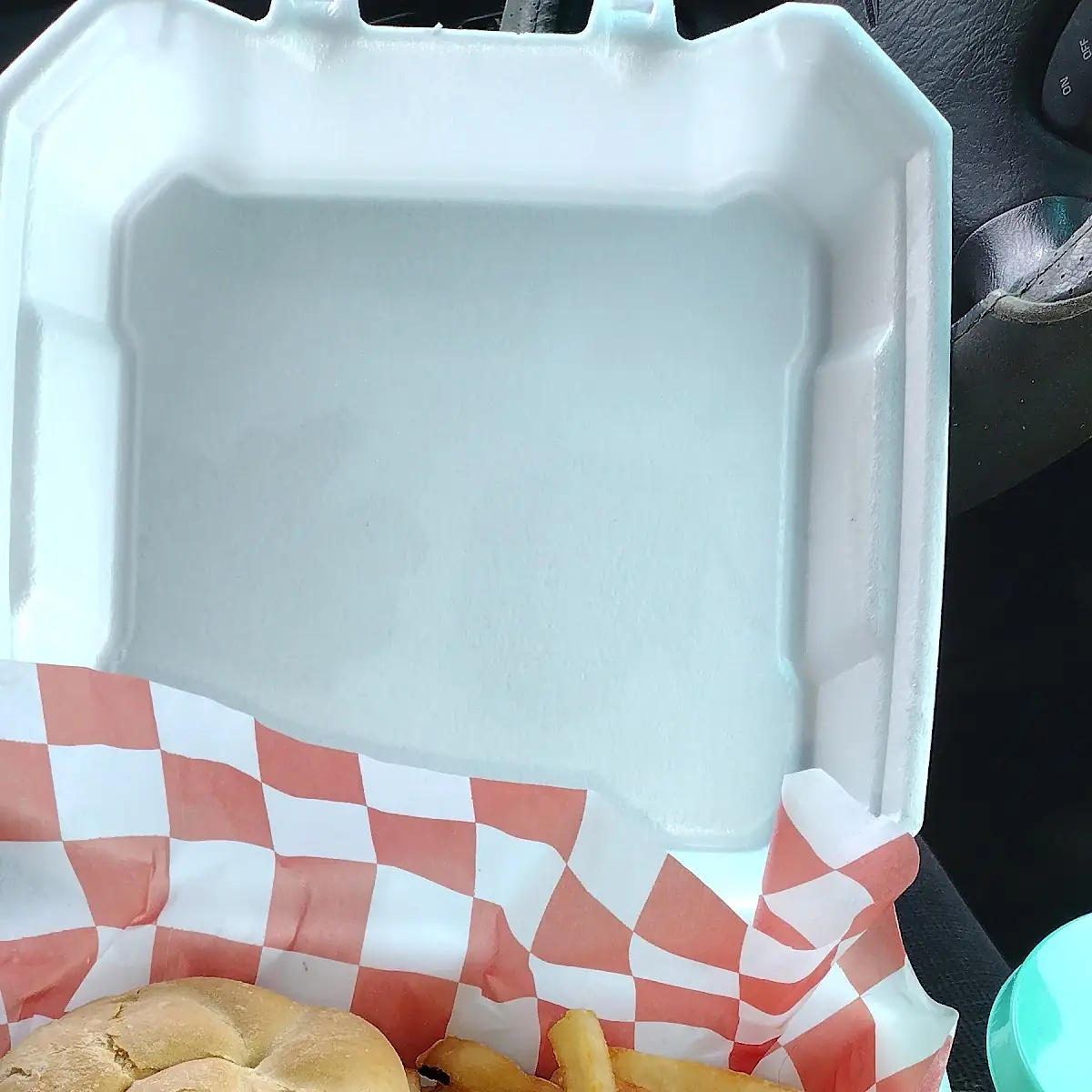 Pulled Pork Sandwich and Fries