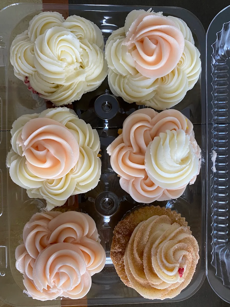 Dozen Cupcakes Oo