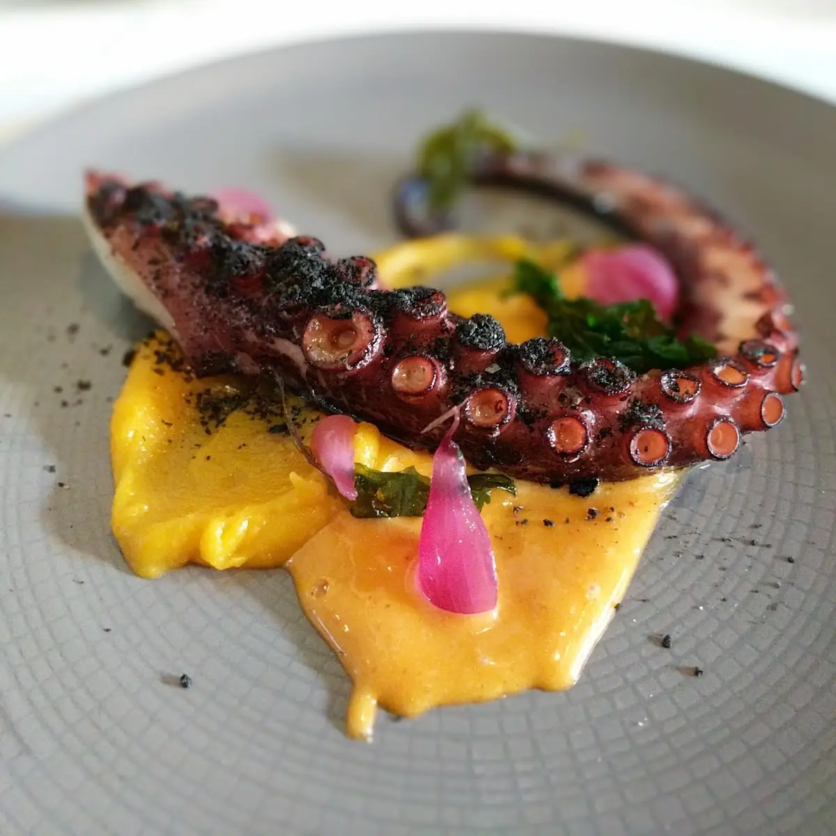 Grilled Octopus