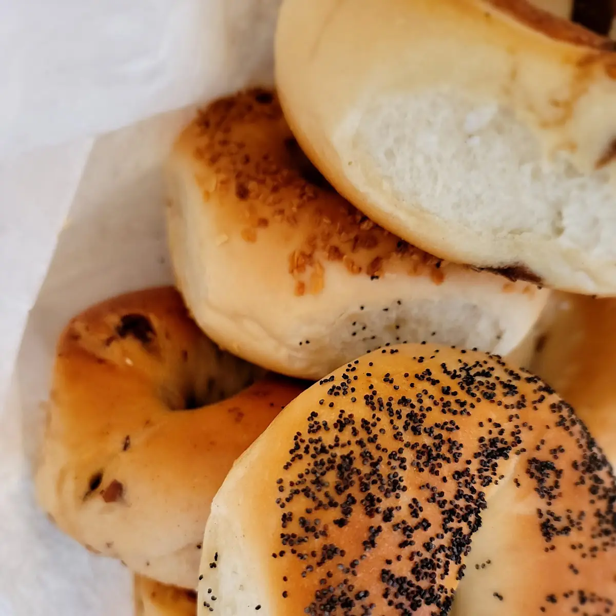 Bagel with Cream Cheese