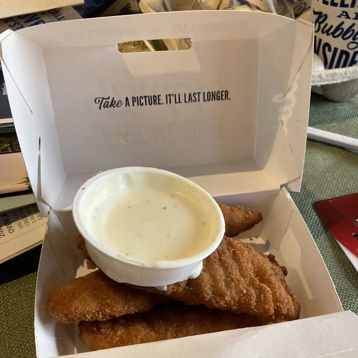 Chicken Strips with Ranch Dressing