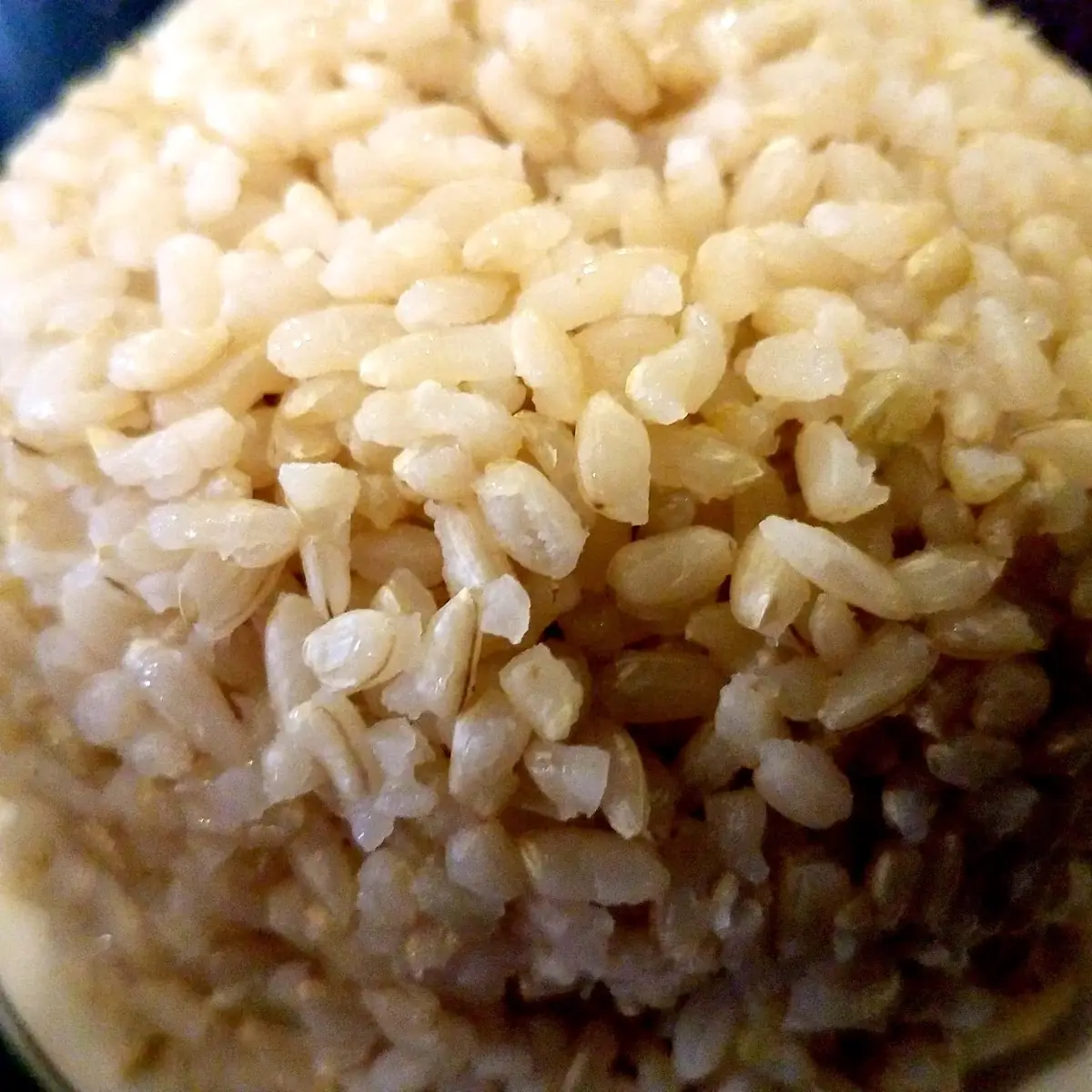 Brown Rice