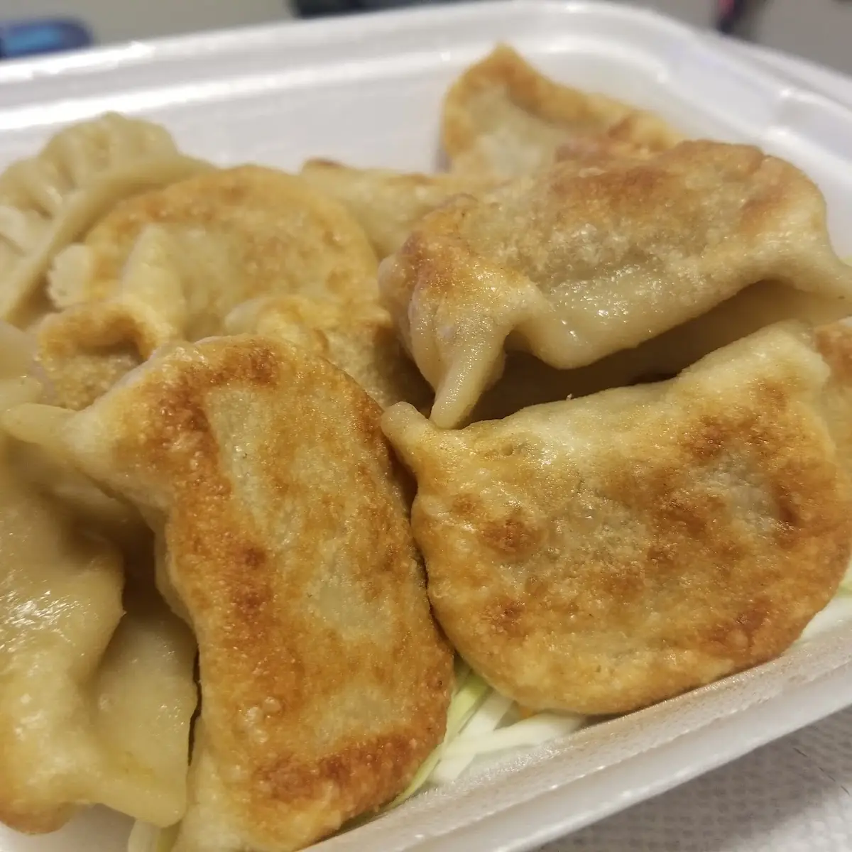 Pan Fried Dumplings