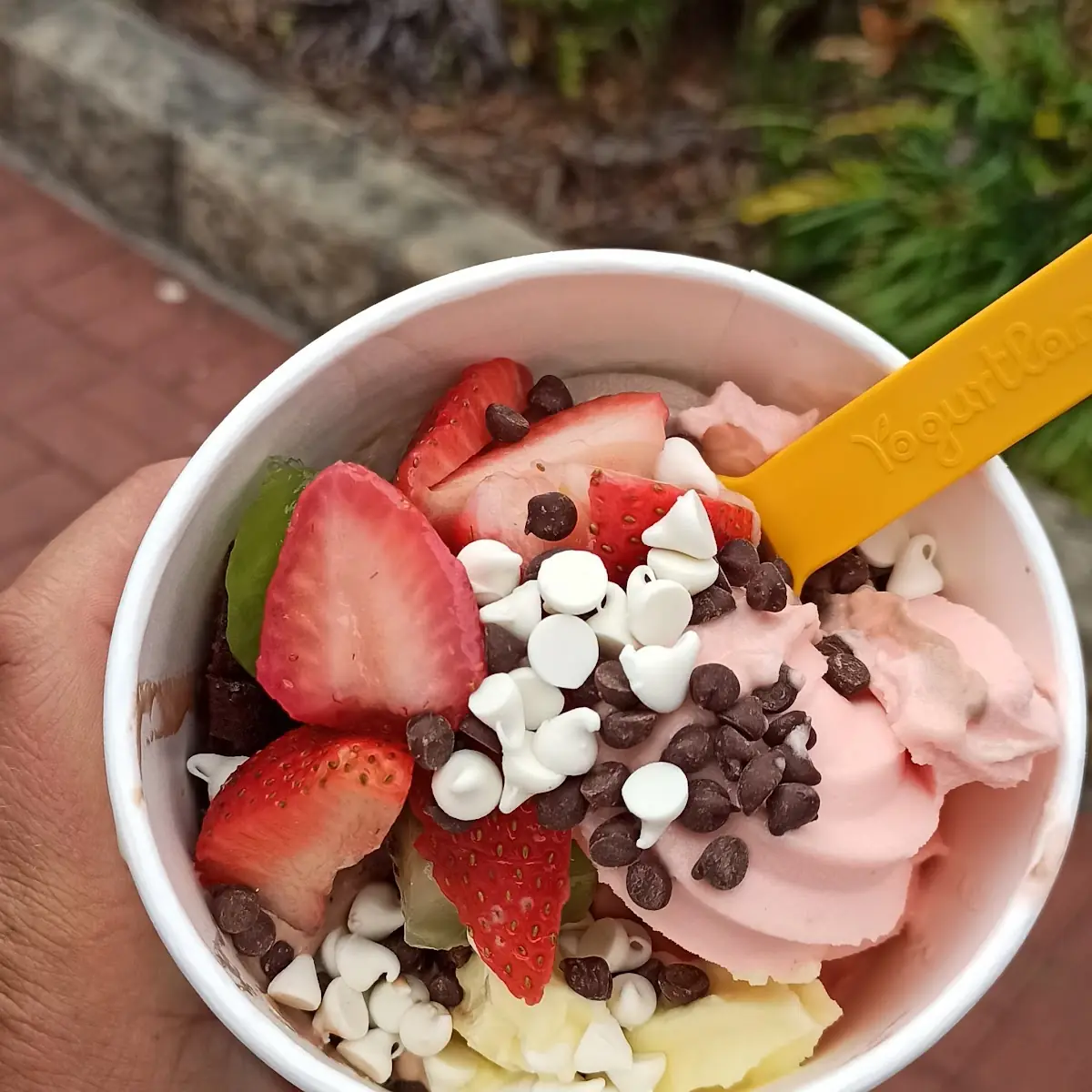 Frozen Yogurt
