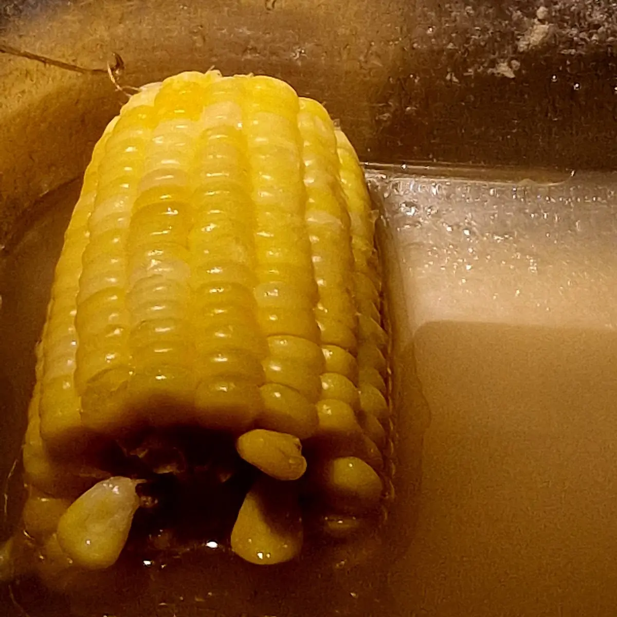 Buttered Corn