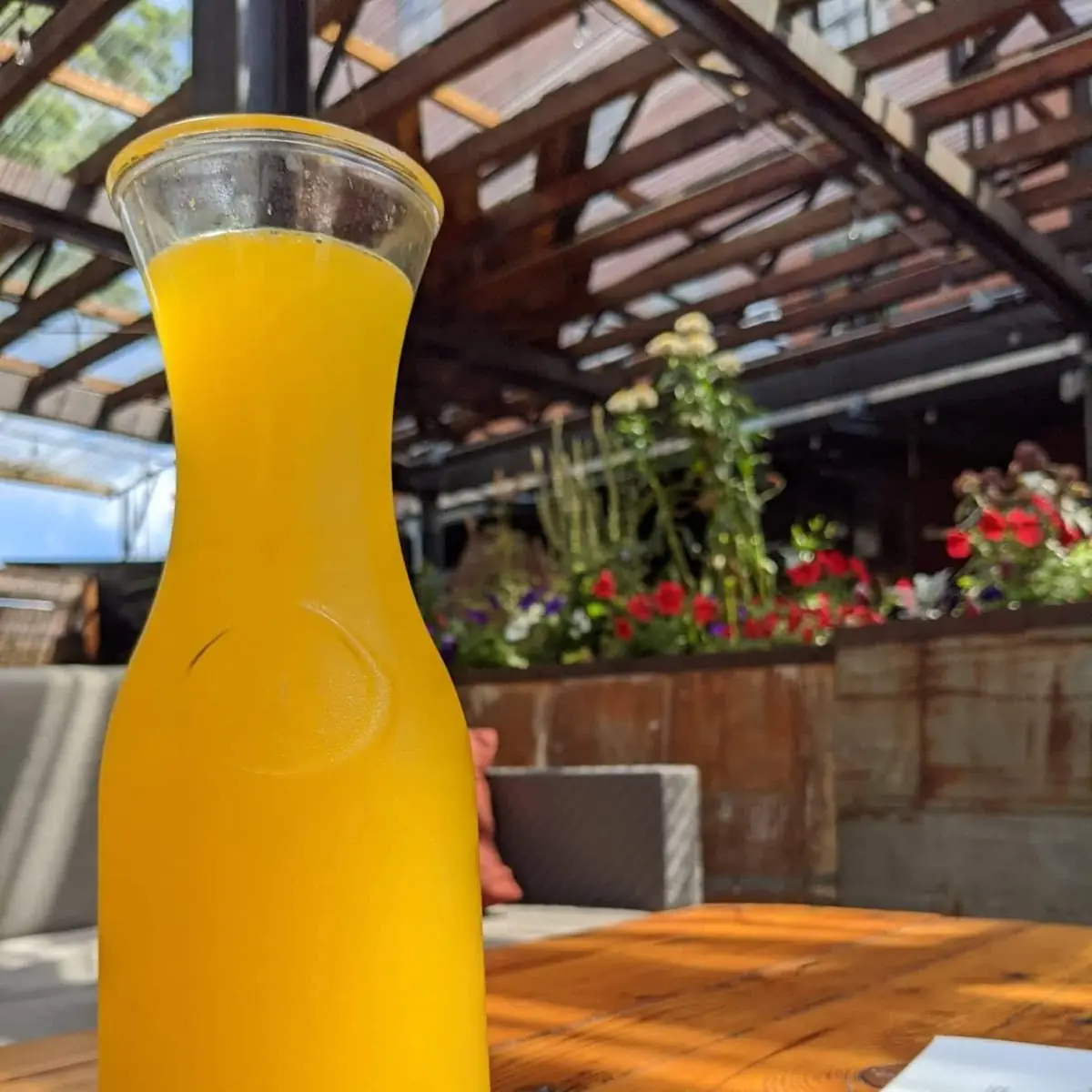 Bottomless Mimosas