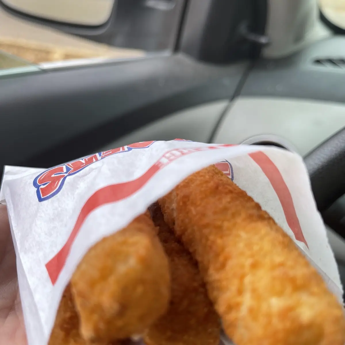 Mozzarella Cheese Sticks