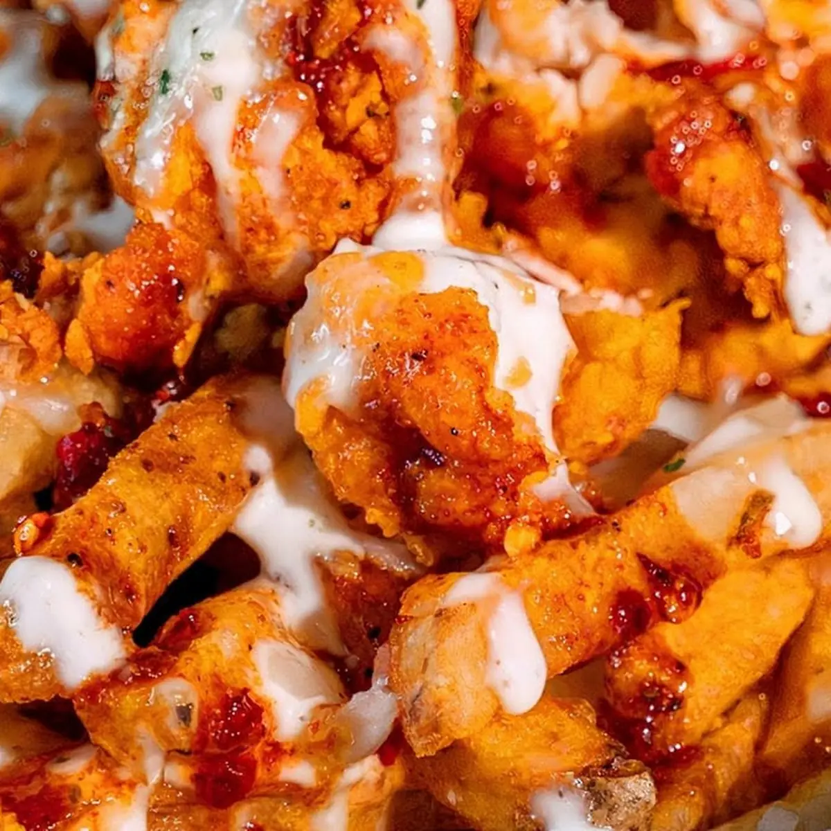 Loaded Fries Papas Fritas Cargadas