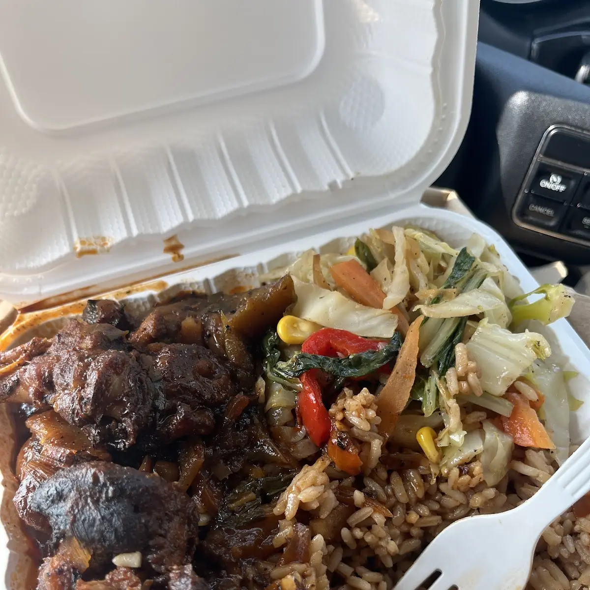 Brown Stew Chicken Meal