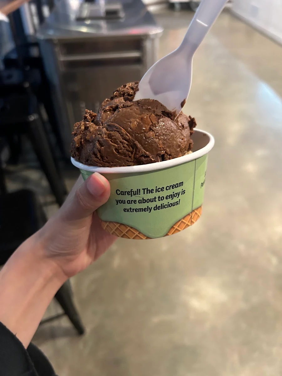 Chocolate Ice Cream