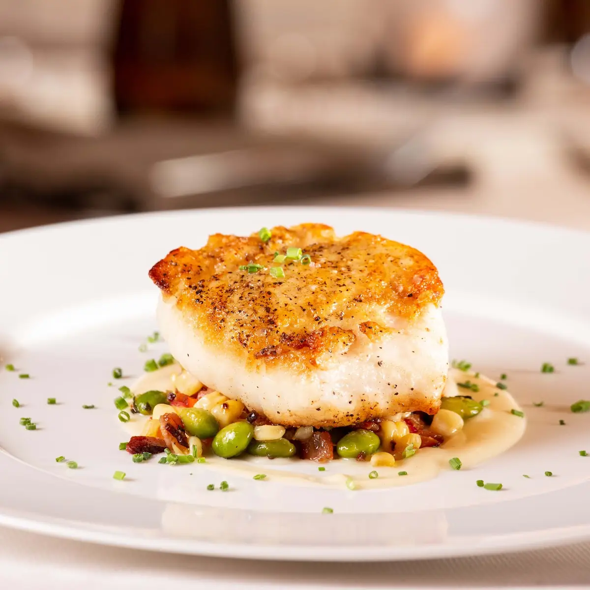Pan Seared Scallops
