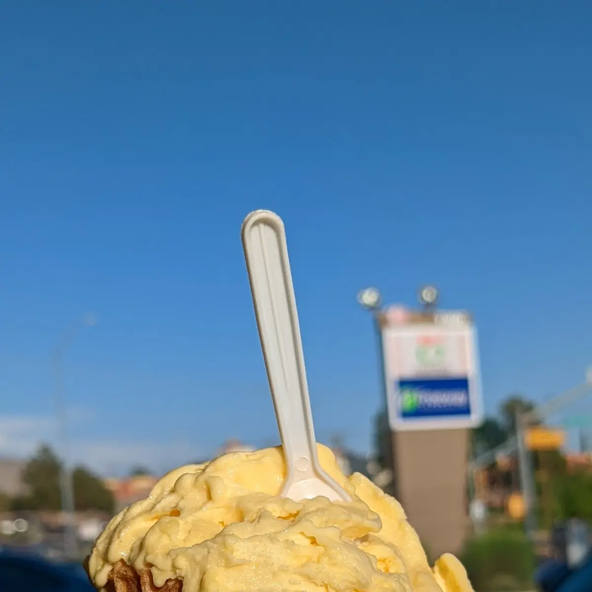 Passion Fruit Gelato