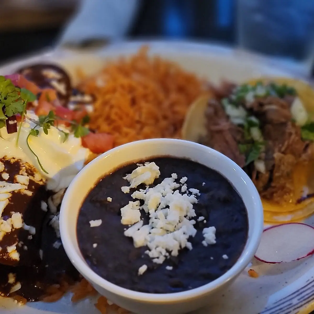 Carnitas Soft Taco & Chicken Mole Enchilada