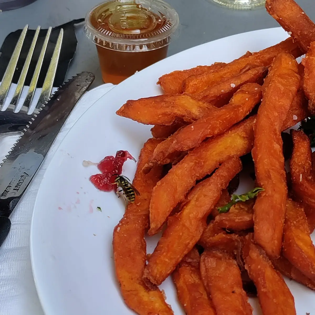 Sweet Potato Fries