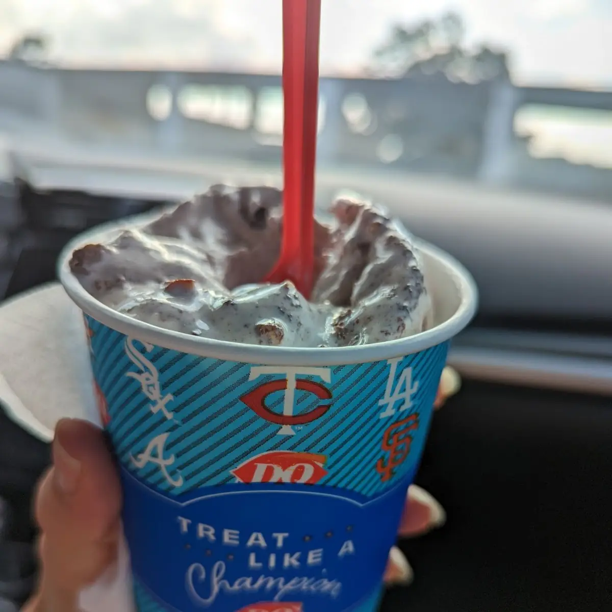 Cotton Candy Blizzard Treat