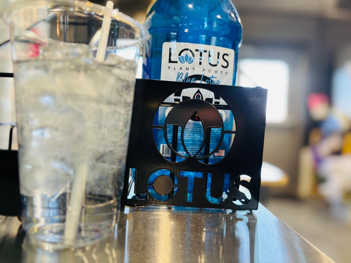 Sugar Free Lotus