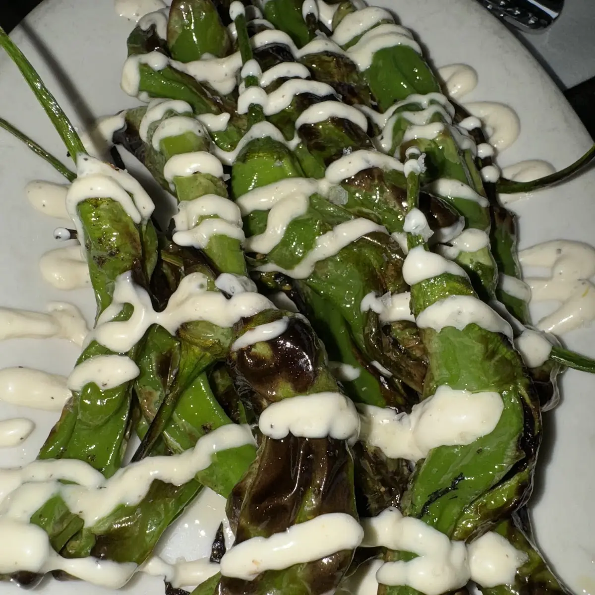 Fire Roasted Shishito Peppers