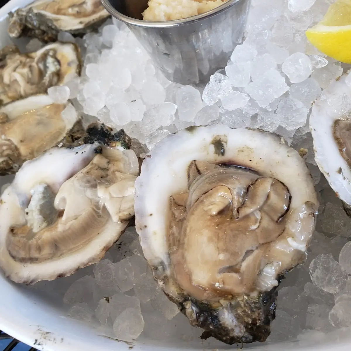 Raw Oysters on the Half Shell