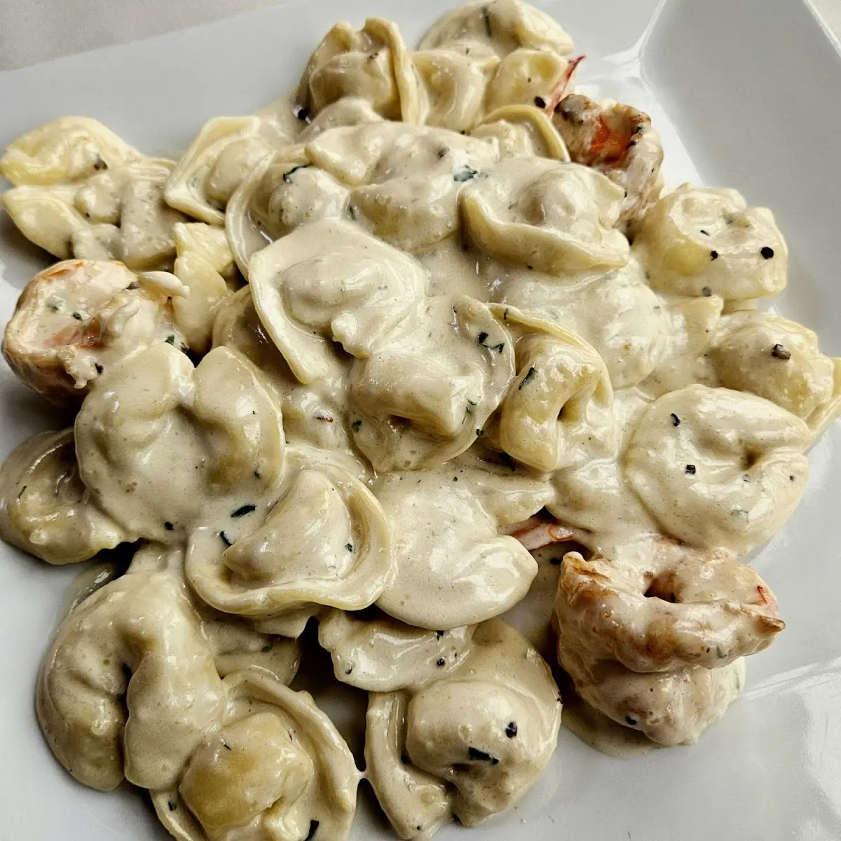 Tortellini Gorgonzola