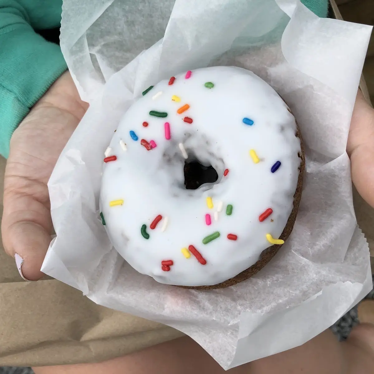 Doughnut