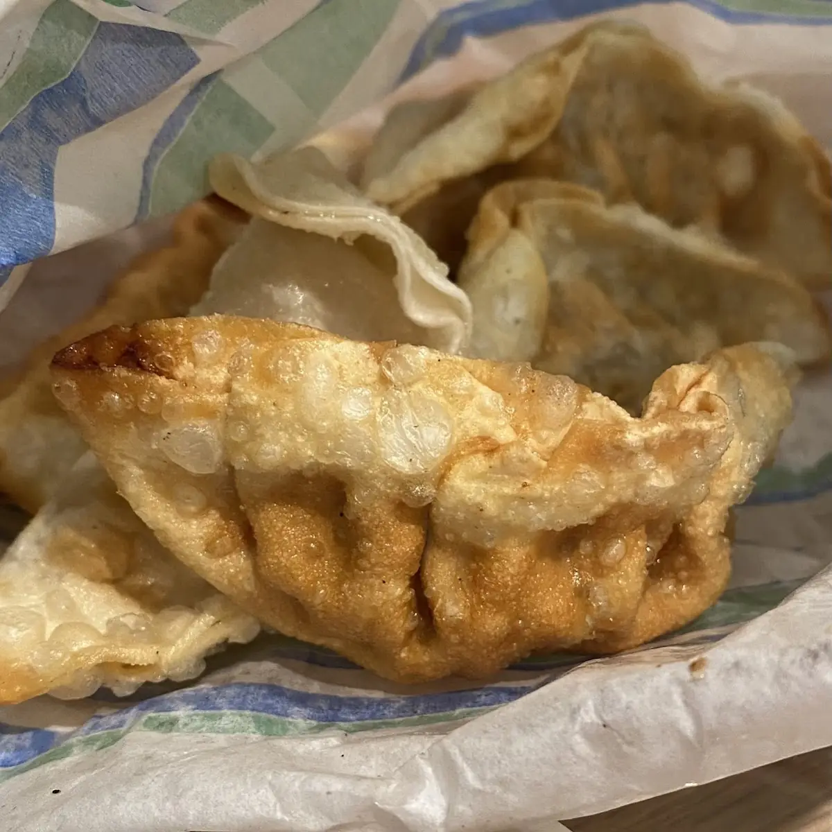 Chicken Dumplings