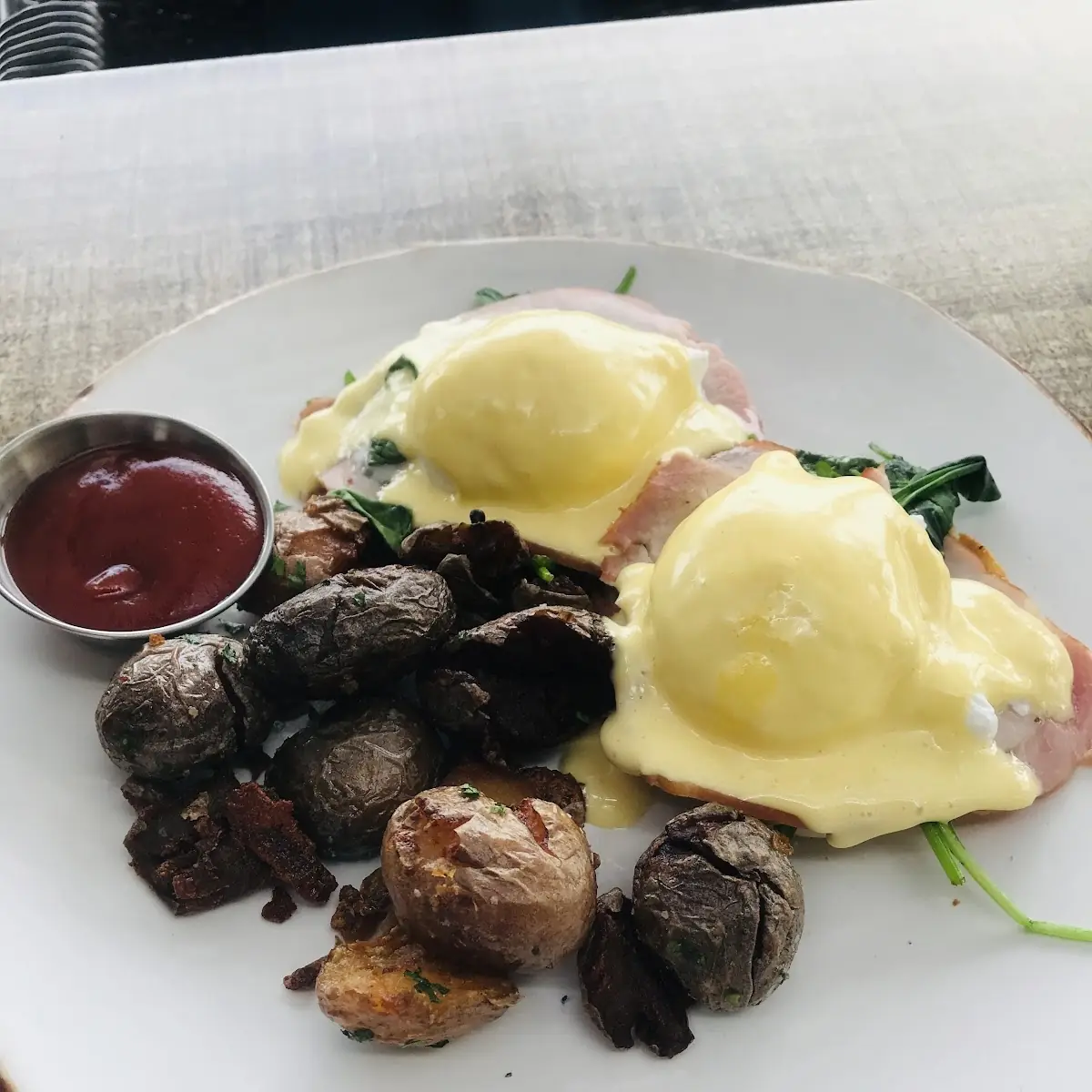 Florentine Benedict