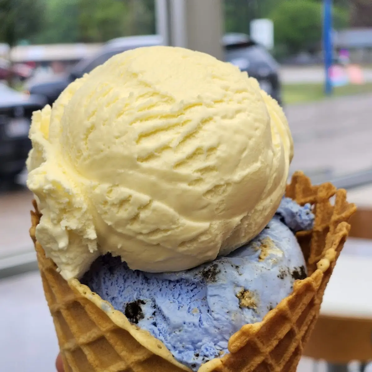 Cookie Monster and Vanilla