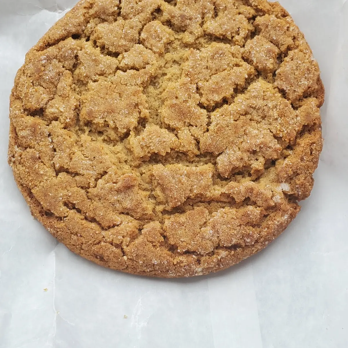 Peanut Butter Cookie