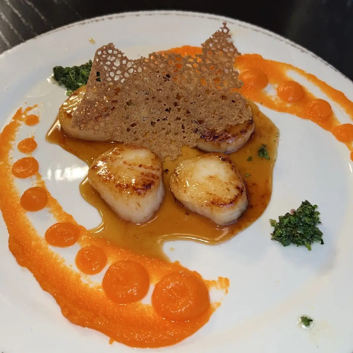 Sea Scallops