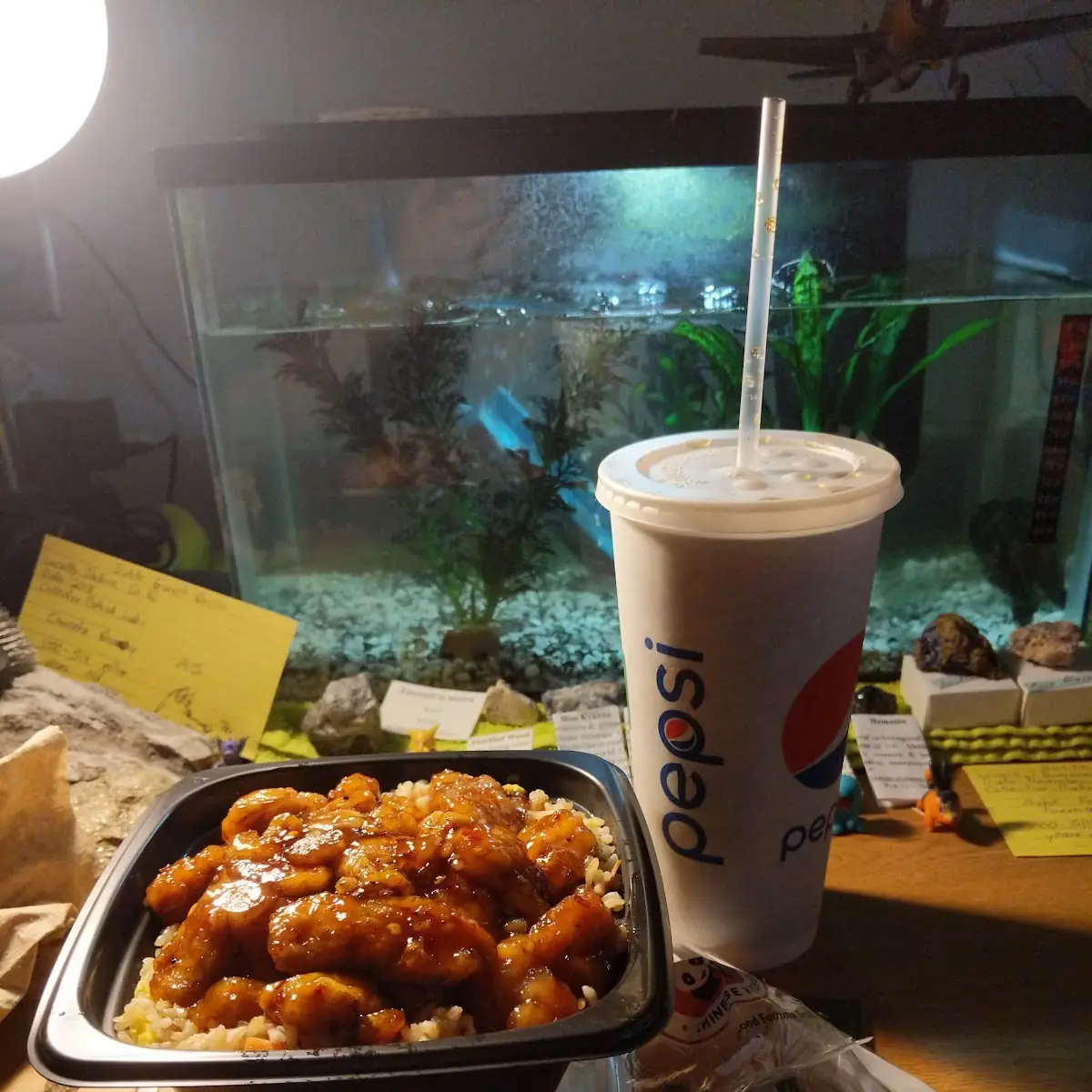 Orange Chicken with Fried Rice