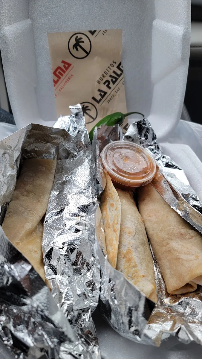 Birria Burrito