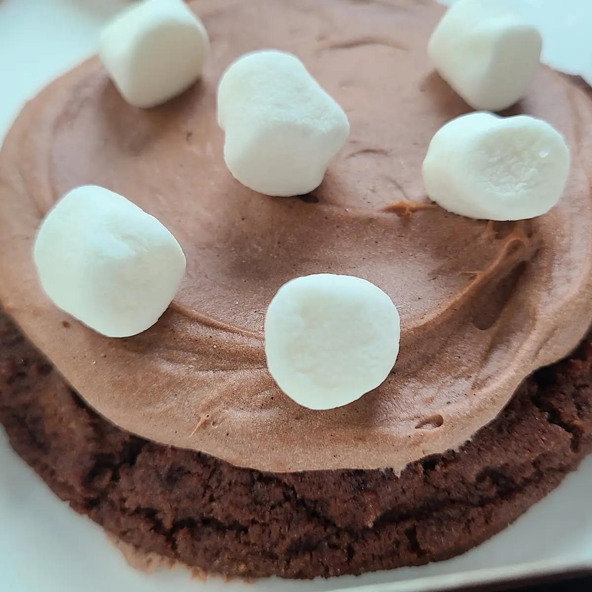 Frozen Hot Chocolate