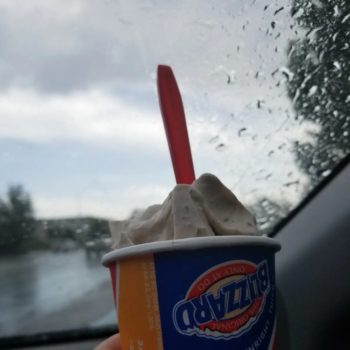 Mini S'Mores Blizzard