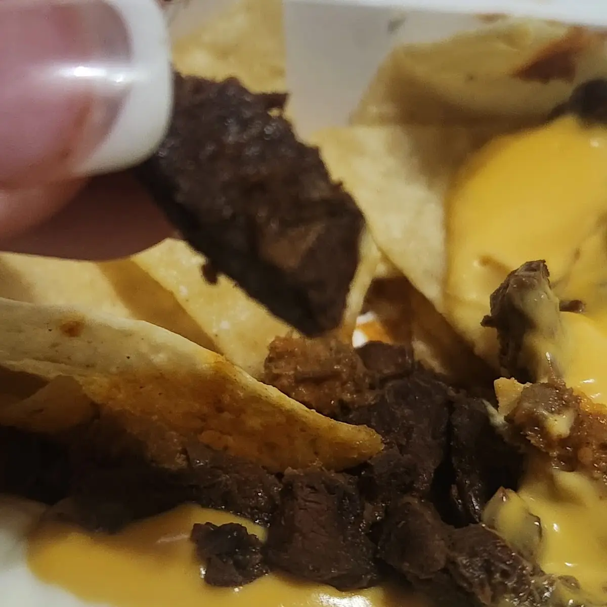 Grande Toasted Breakfast Burrito Steak