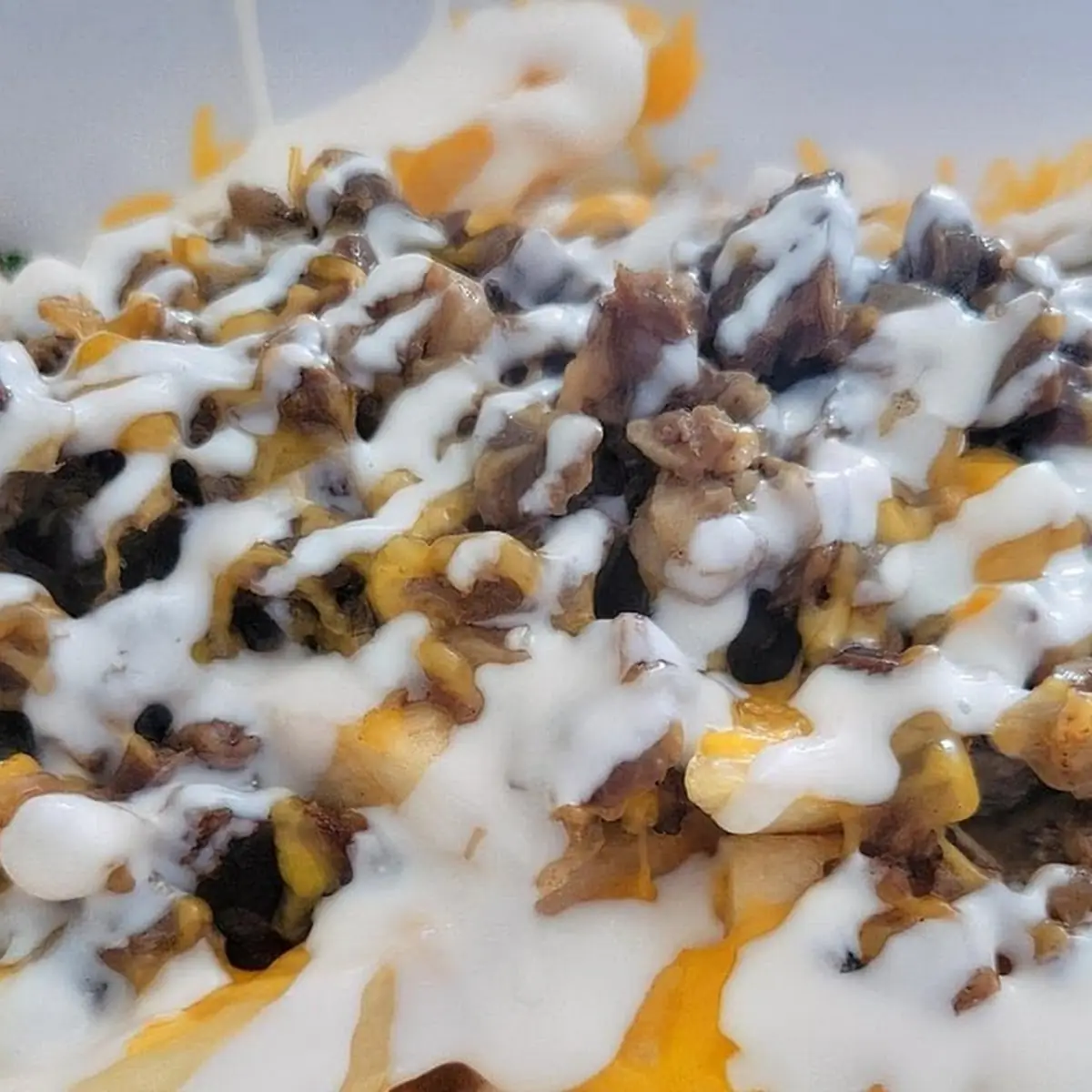 Carne Asada Fries