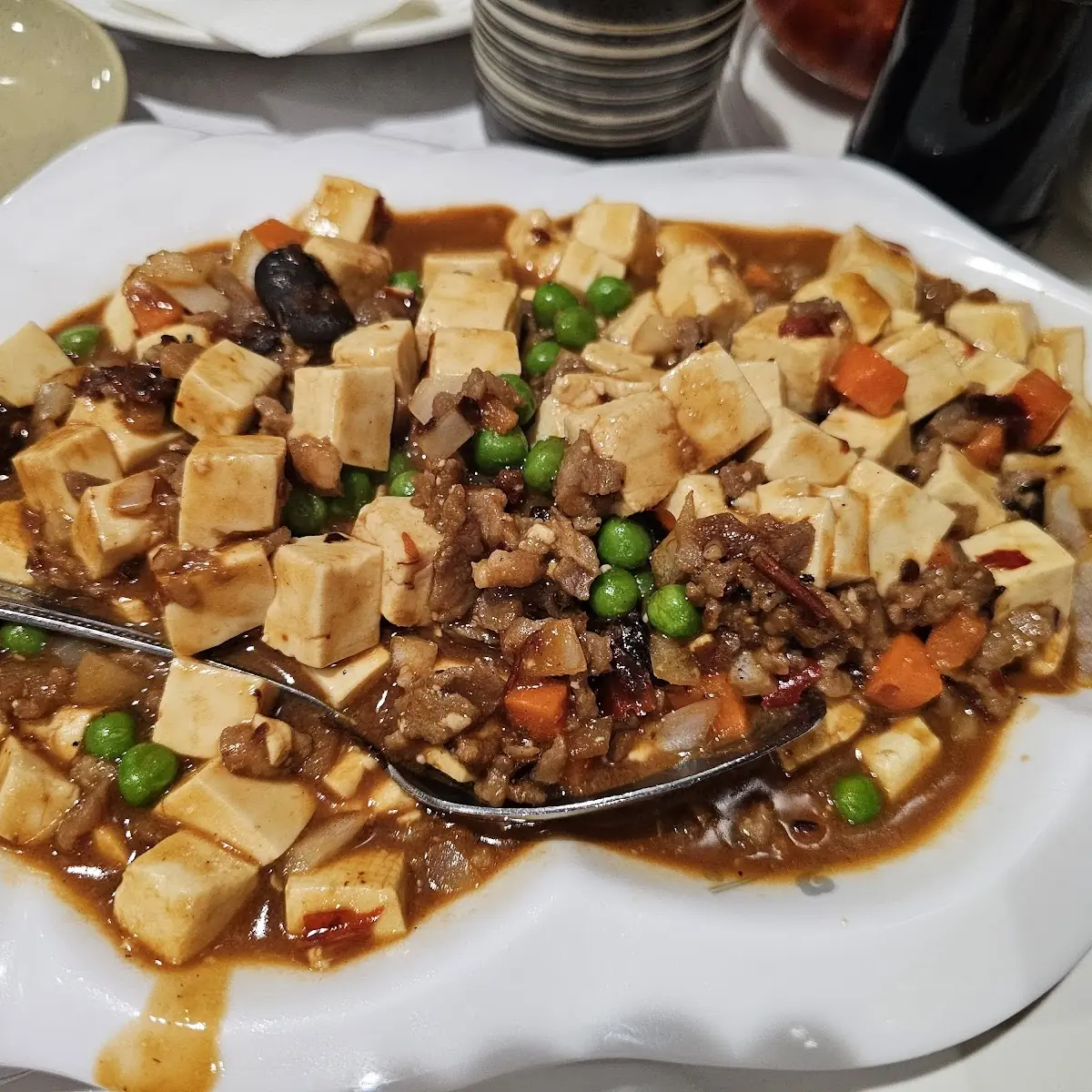 Mapo Tofu with Meat
