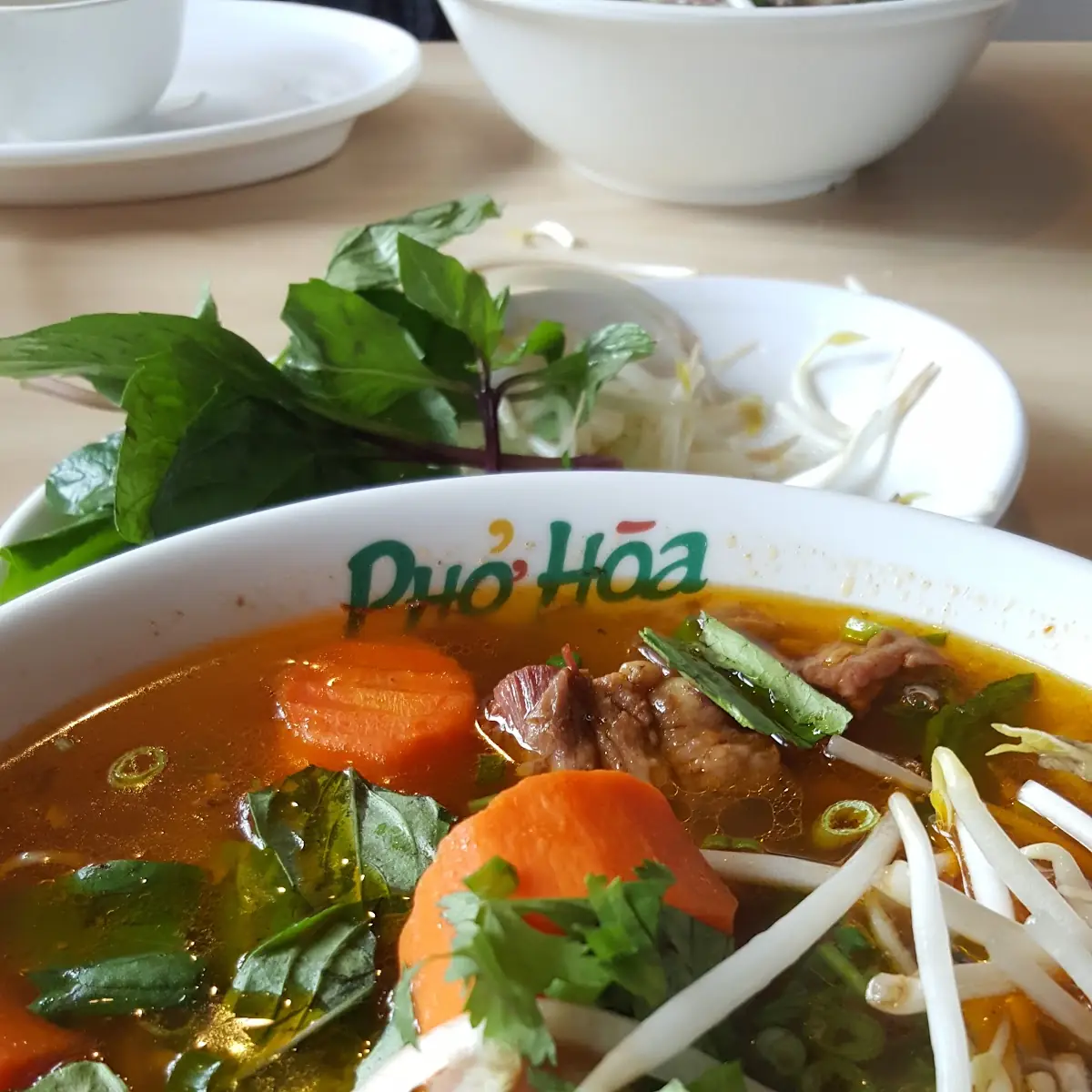 Beef Soup