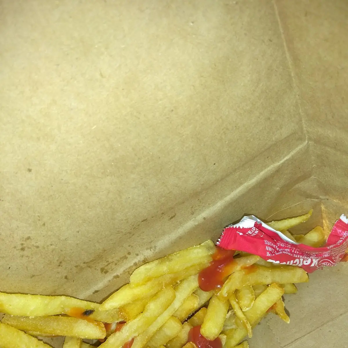 World Famous Fries