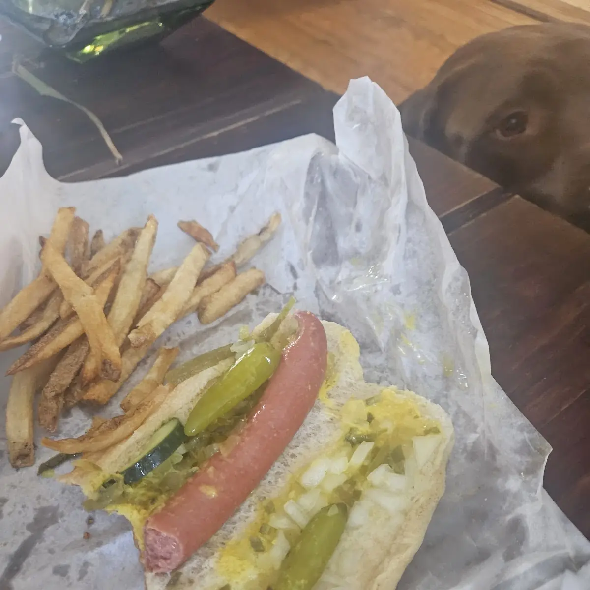Chicago Style Hot Dog