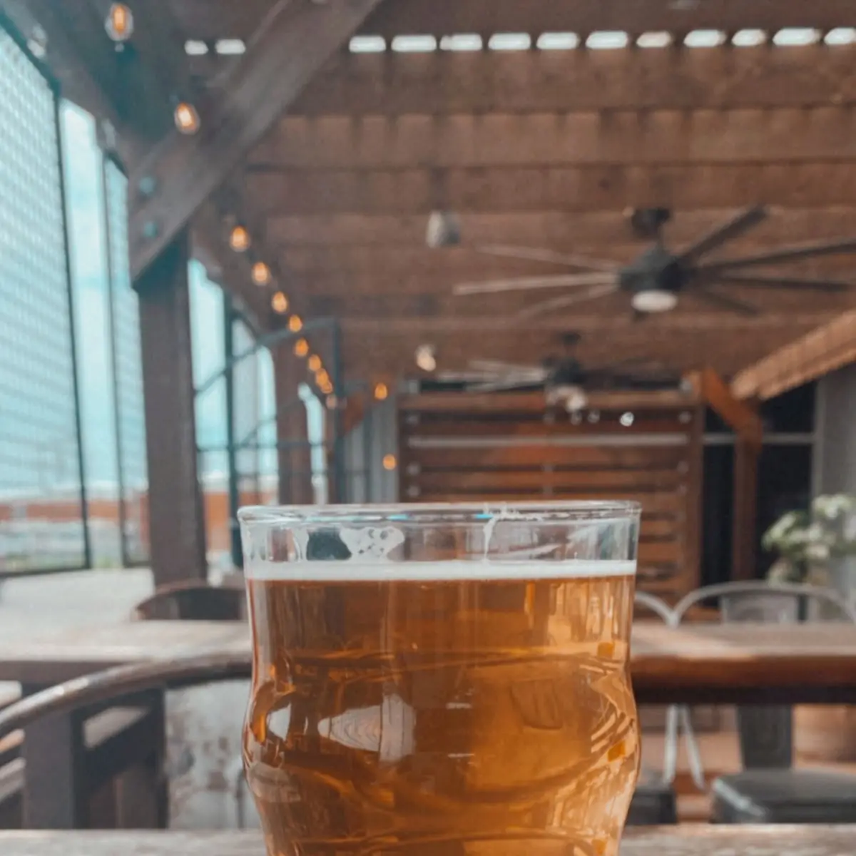 Hazy IPA