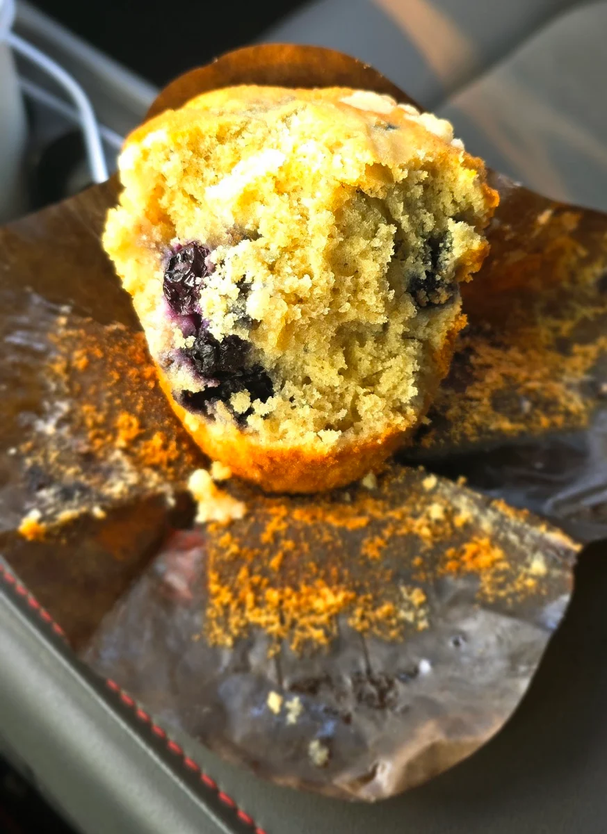Blueberry Muffin