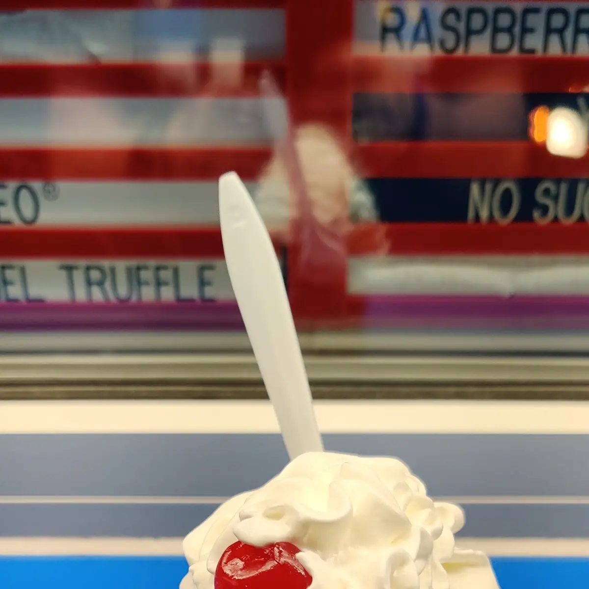 Turtle Sundae