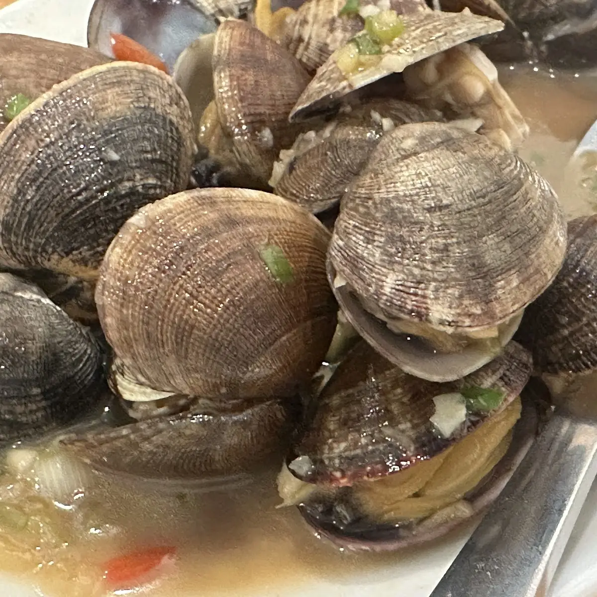 Steamed Clams