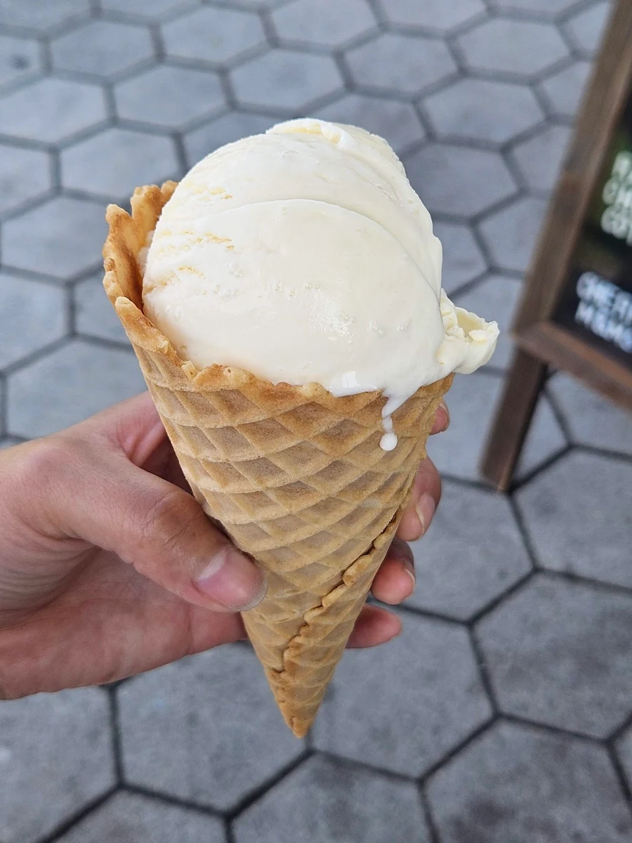 Vanilla Bean